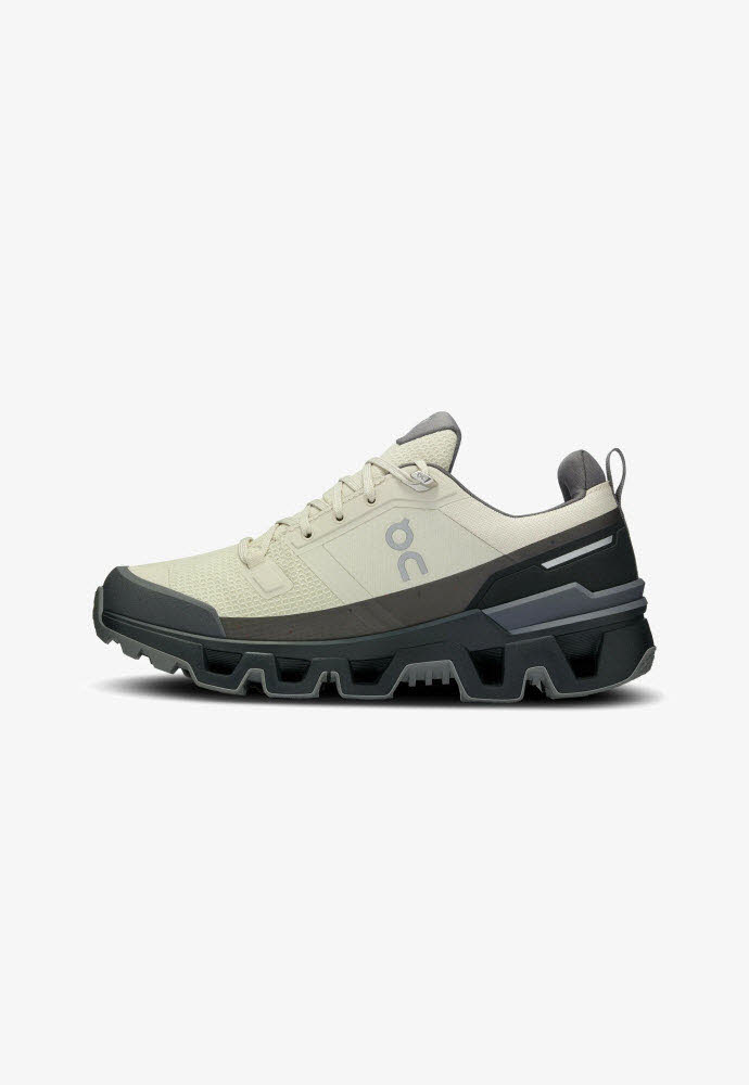 ON Running CLOUDWANDER WATERPROOF 73.97667