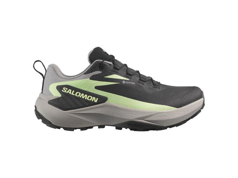Salomon Schuhe GENESIS GTX W Black/Gull/Pat L47862800/000