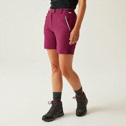 Regatta MountainShortsII RWJ256/5UU