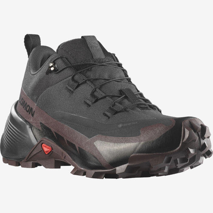 Salomon Cross Hike GTX 2 W L41730500/000