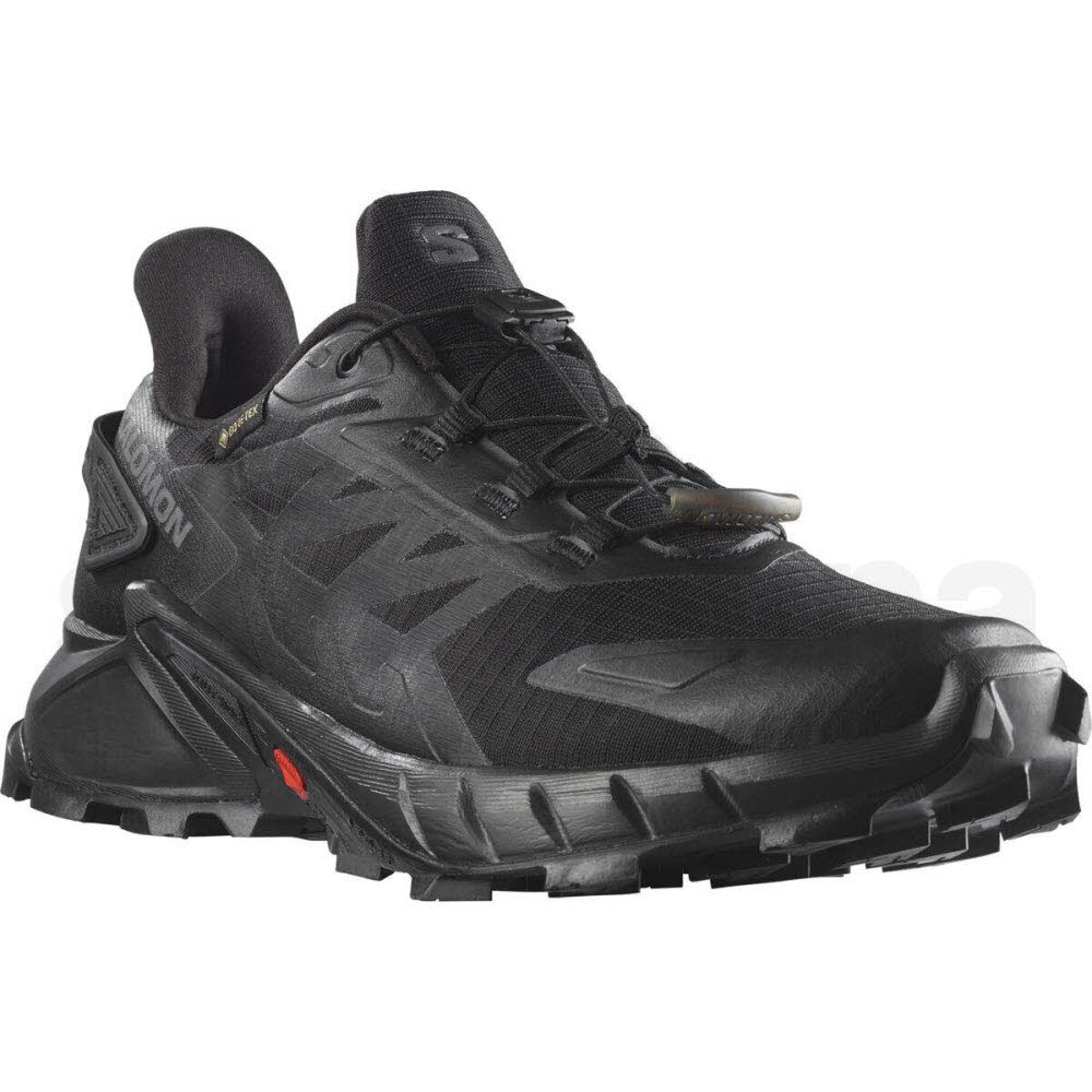 Salomon SUPERCROSS 4 GTX W L41733900/000