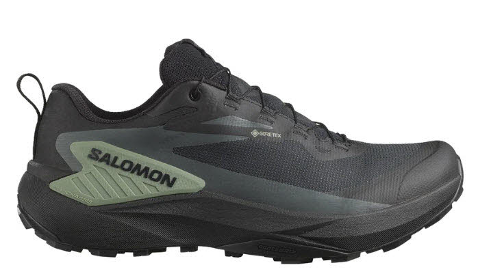 Salomon Schuhe GENESIS GTX Black/Agv Gr/Ubn L47518700/000
