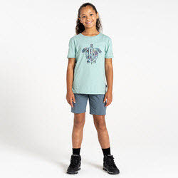 Dare2b TrailblazerIITee DKT451/H7A