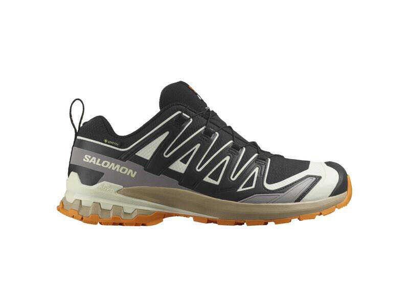 Salomon Schuhe XA PRO 3D V9 GTX Black/Vanil L47881900/000