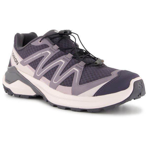 Salomon Schuhe EXAMOTION W 9 Iron/Excali/Hu L47962200/000