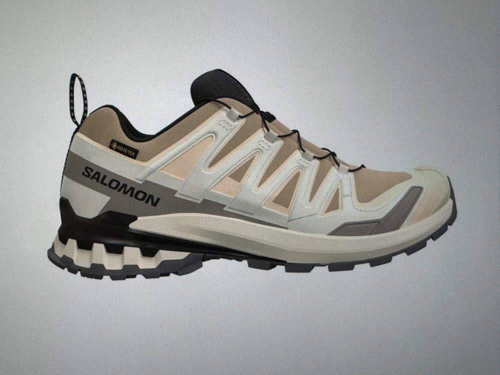 Salomon Schuhe XA PRO 3D V9 GTX W Hzlnut/Te L47817600/000