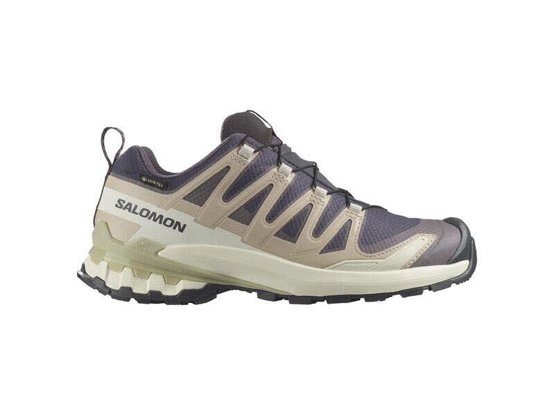 Salomon Schuhe XA PRO 3D V9 GTX W 9 Iron/Ox L47744700/000